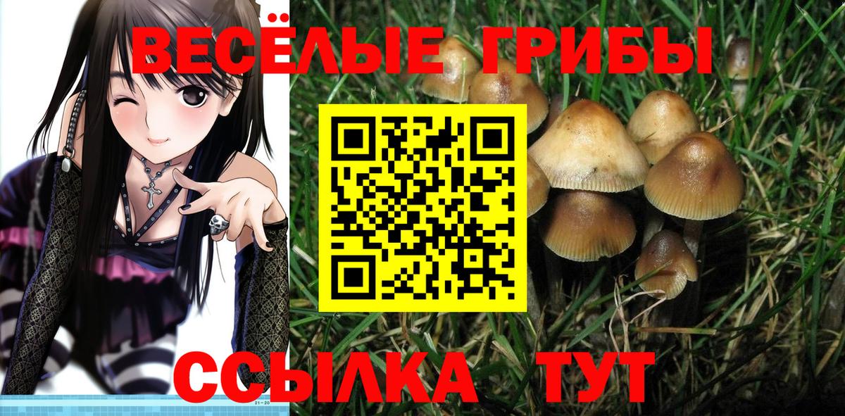 Галлюциногенные грибы прущие грибы Саратов