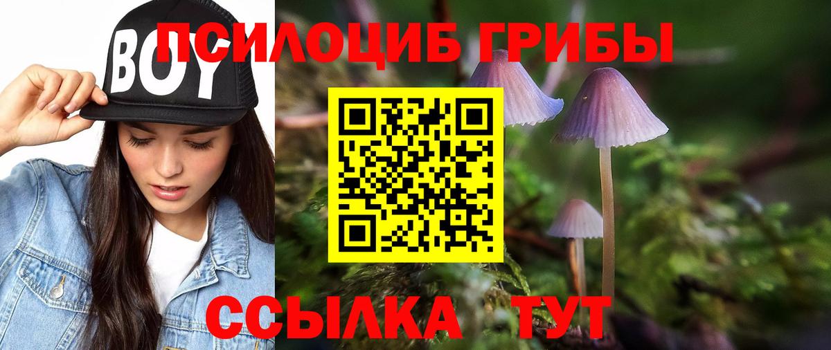 Саратов  Галлюциногенные грибы ЛСД  Вход с VPN  Галлюциногенные грибы прущие грибы 